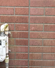 変色・汚れ・コケ