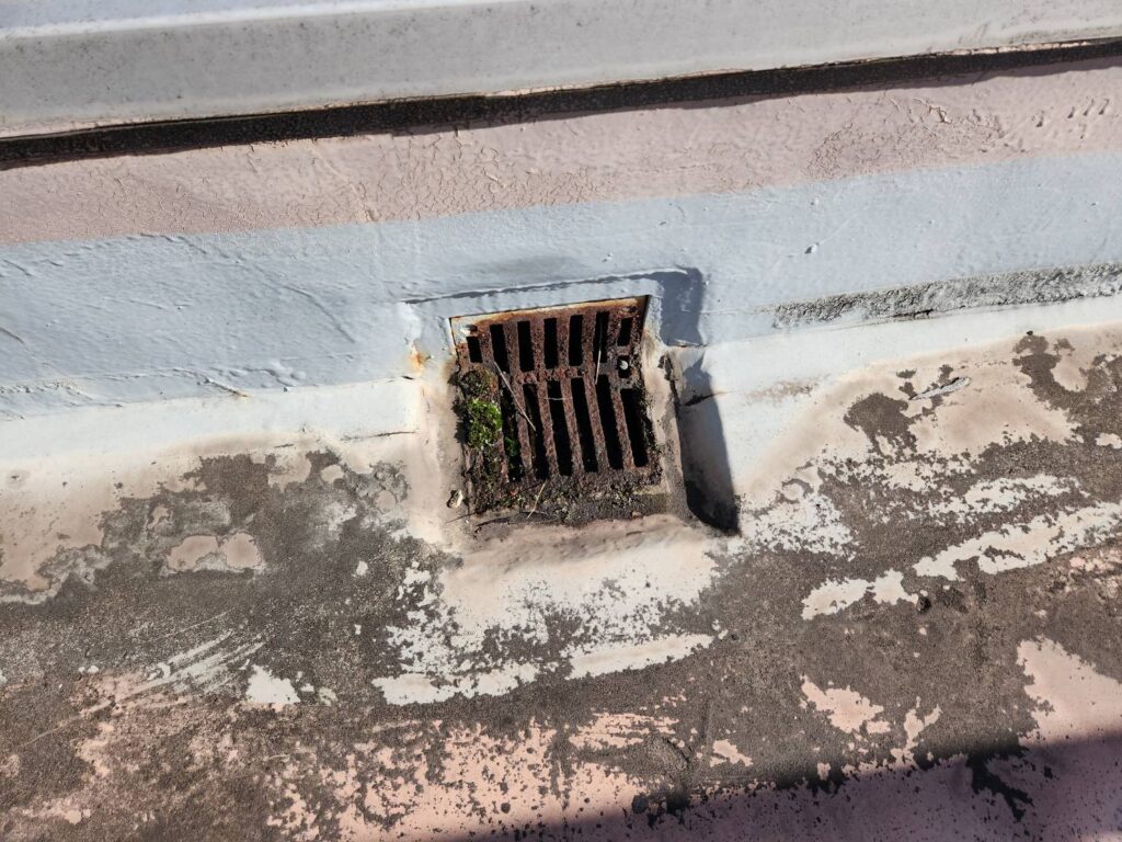 排水口まわりにサビやコケが見られ、雨水が滞留しやすい状況です。