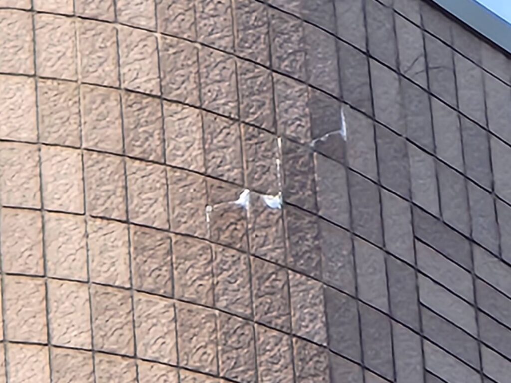 タイル目地にエフロが確認できました。