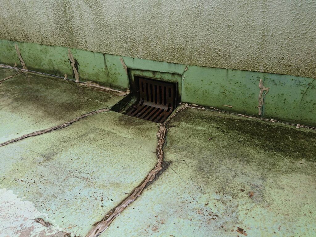 ドレン周りもサビや劣化が進行し、雨水が浸入しやすい状況でした。