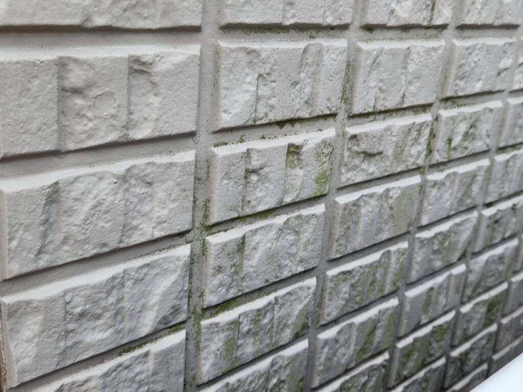 シーリングにはコケや汚れが付着している状態でした。