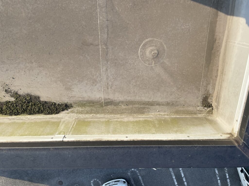 排水口付近にコケや堆積物が溜まり、水の滞留が見られます。