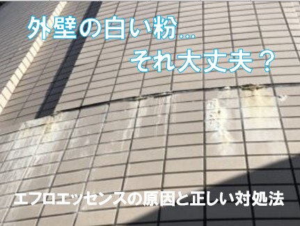 【コラム】エフロエッセンスとは？原因・発生条件・除去方法まで徹底解説～大規模修繕において知っておくべき基礎知識～